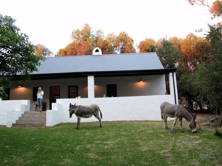 The Little Farmhouse Станфорд Екстер'єр фото